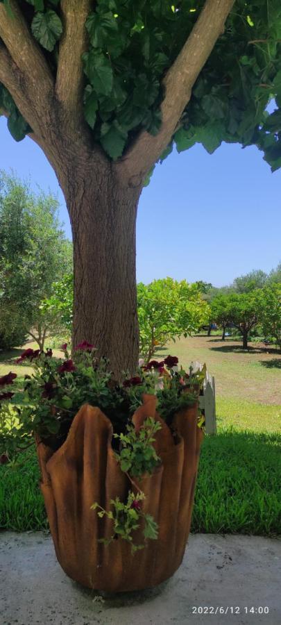 דירות קנאלי Eirini House 3 מראה חיצוני תמונה